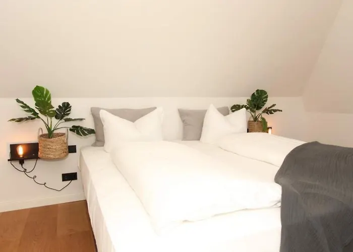 Reethues Am Schlossgut Gross Schwansee