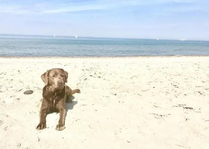 Reethues Am Schlossgut Holiday home